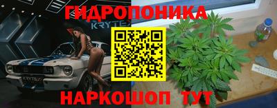 2c-b Пугачёв