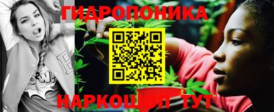 индика Пыть-Ях