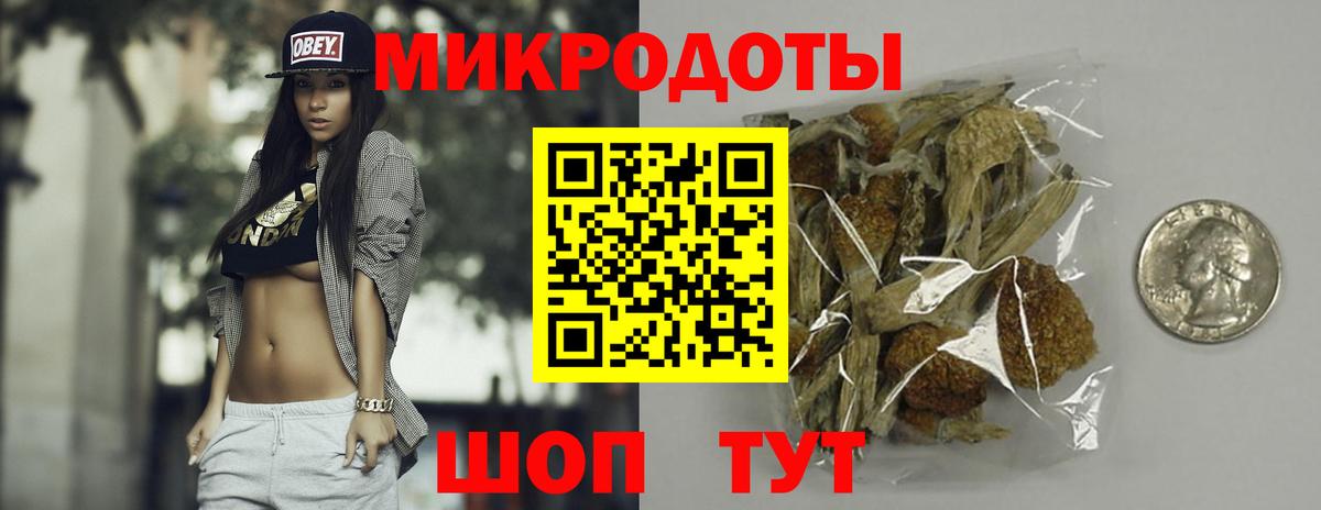 Галлюциногенные грибы Magic Shrooms  Вход с VPN  Троицк  цены наркотик  Галлюциногенные грибы мицелий 